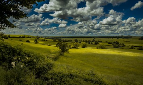 Paysage_115